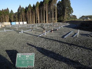 スクリュー杭　打込み完了