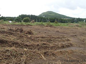 ８．表土剥ぎ取り２