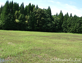 遊休地イメージ